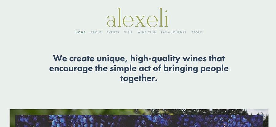 A screenshot of the top portion of Alexeli's website