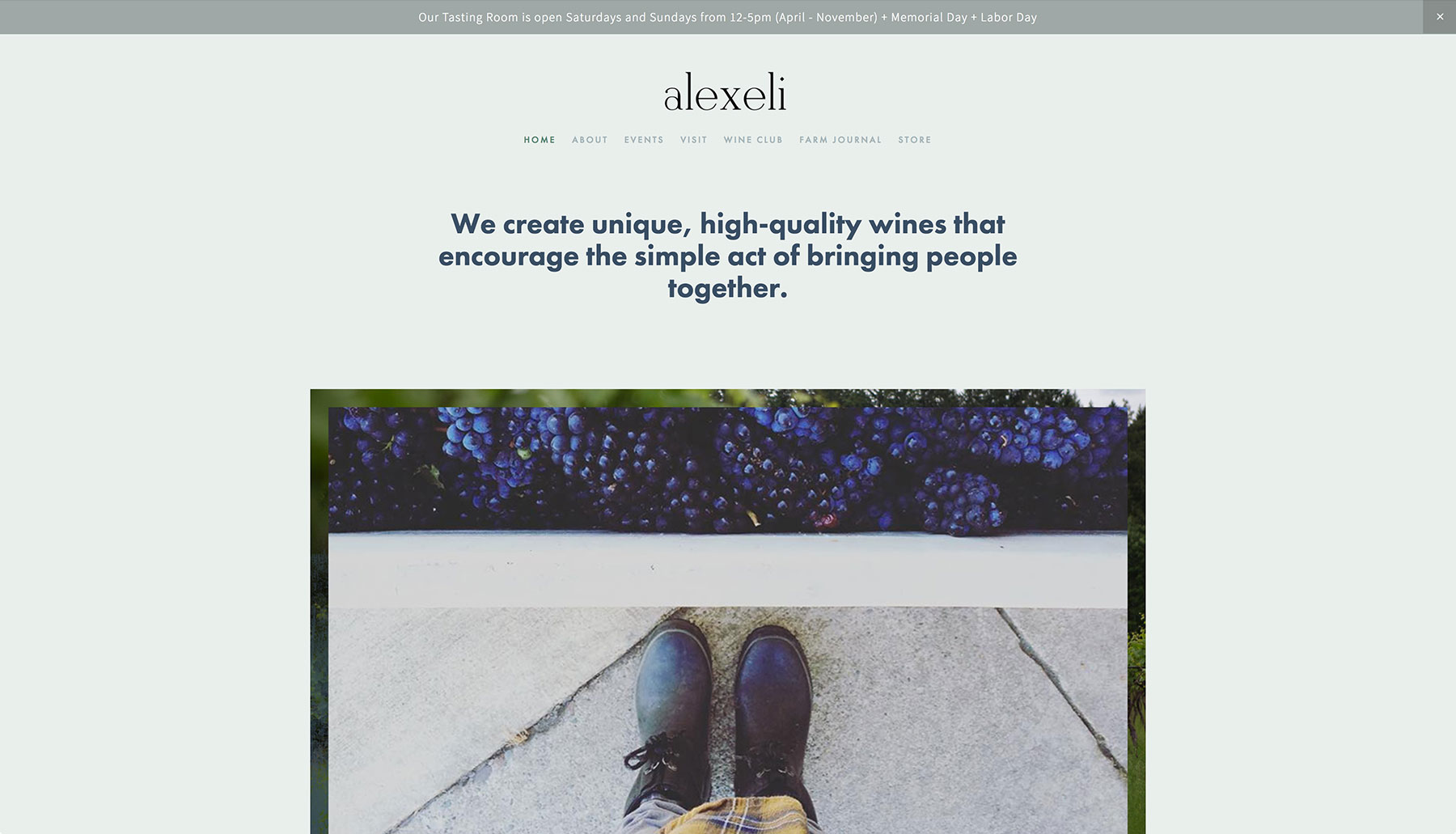 Alexeli's simple website design