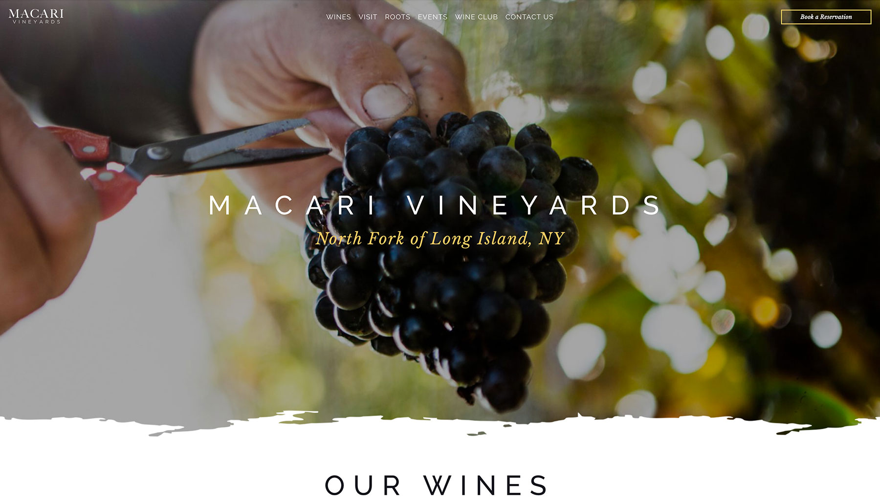 Screenshot of Macari Vineyards's website