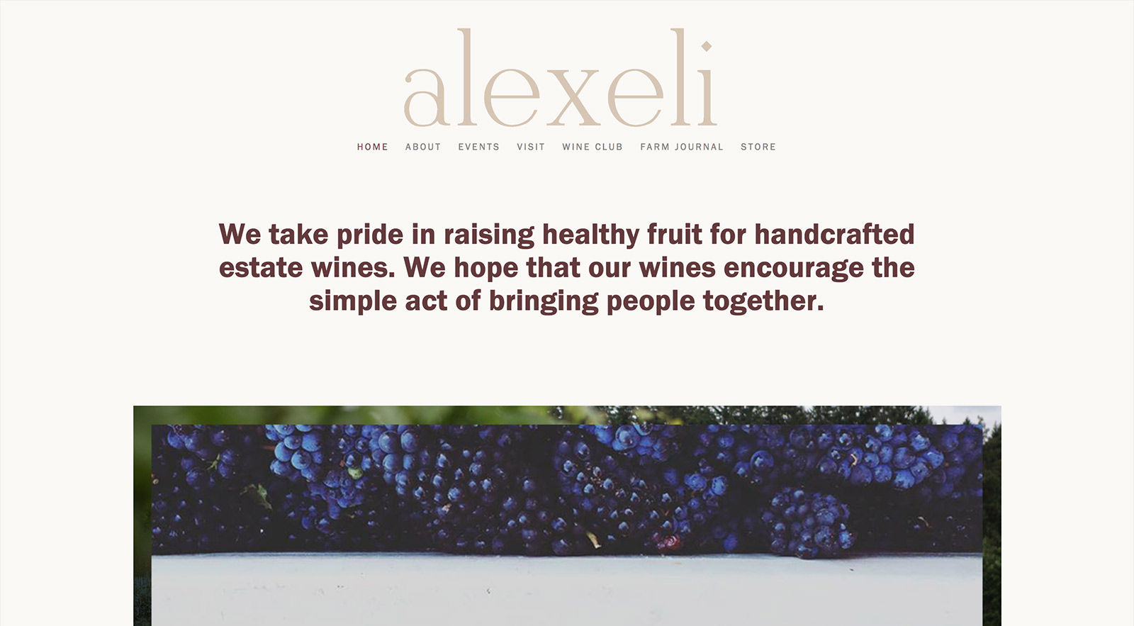 The website for Alexeli