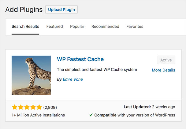 A screenshot of WP Fastest Cache plugin.